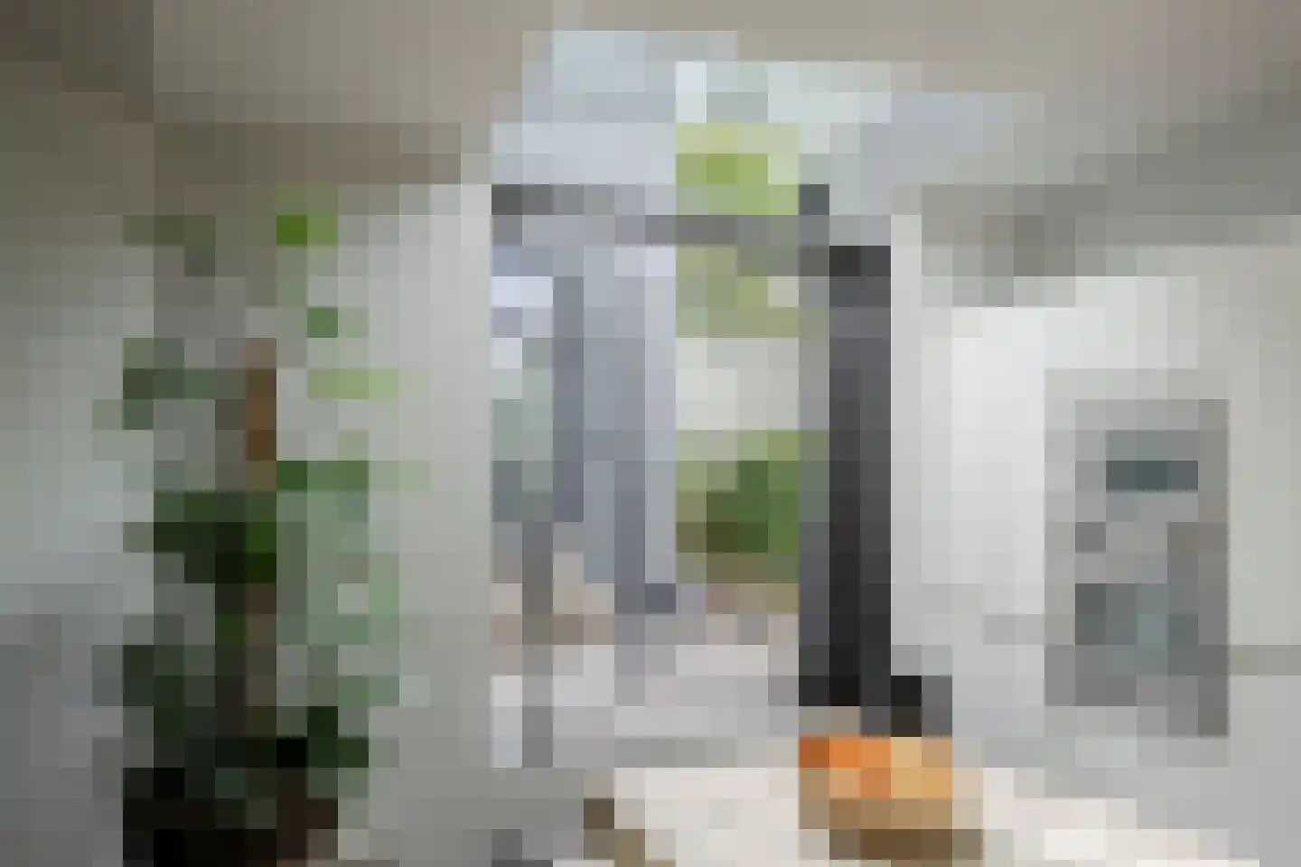 Spoorlaan 4 Bussum thumbnail 14