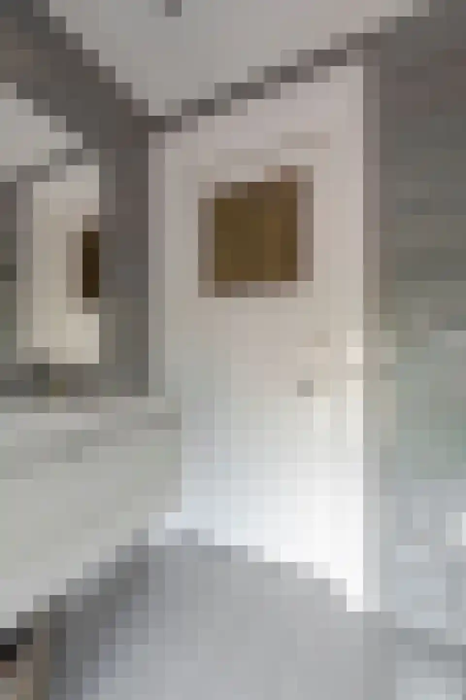 Spoorlaan 4 Bussum thumbnail 31