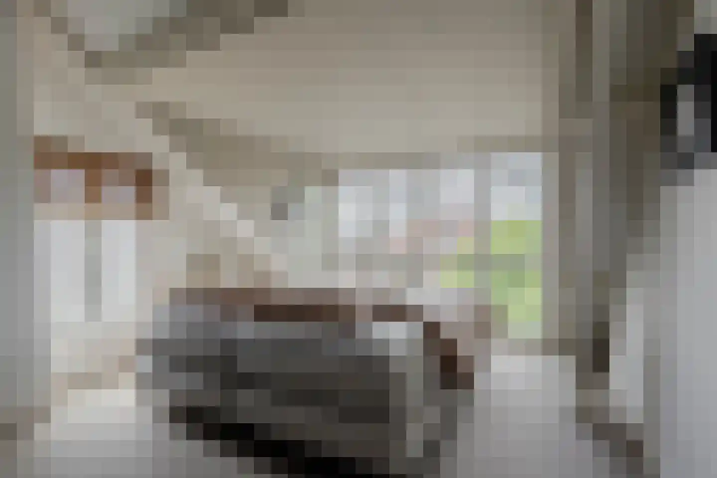 Spoorlaan 4 Bussum thumbnail 33