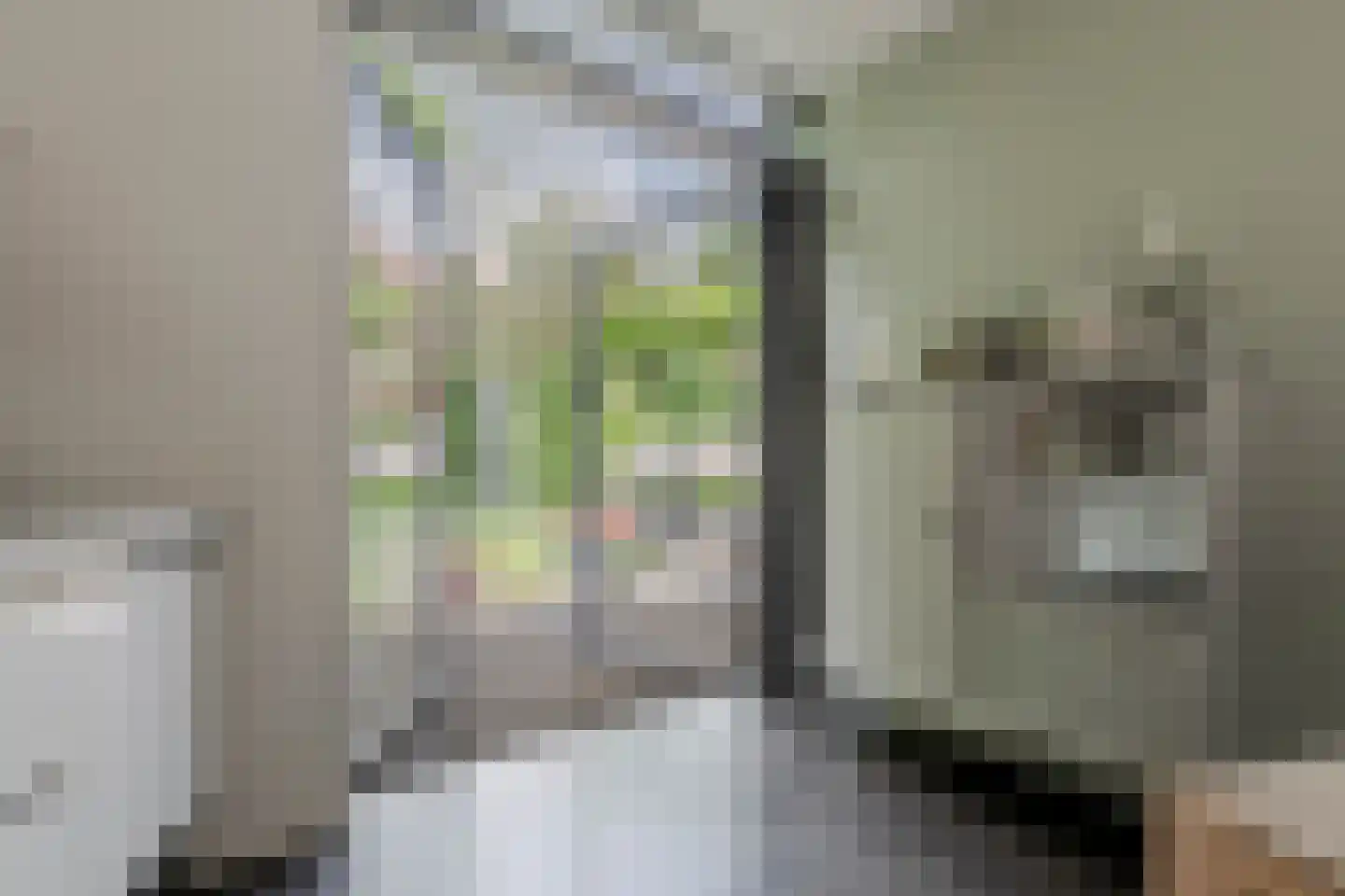 Spoorlaan 4 Bussum thumbnail 42