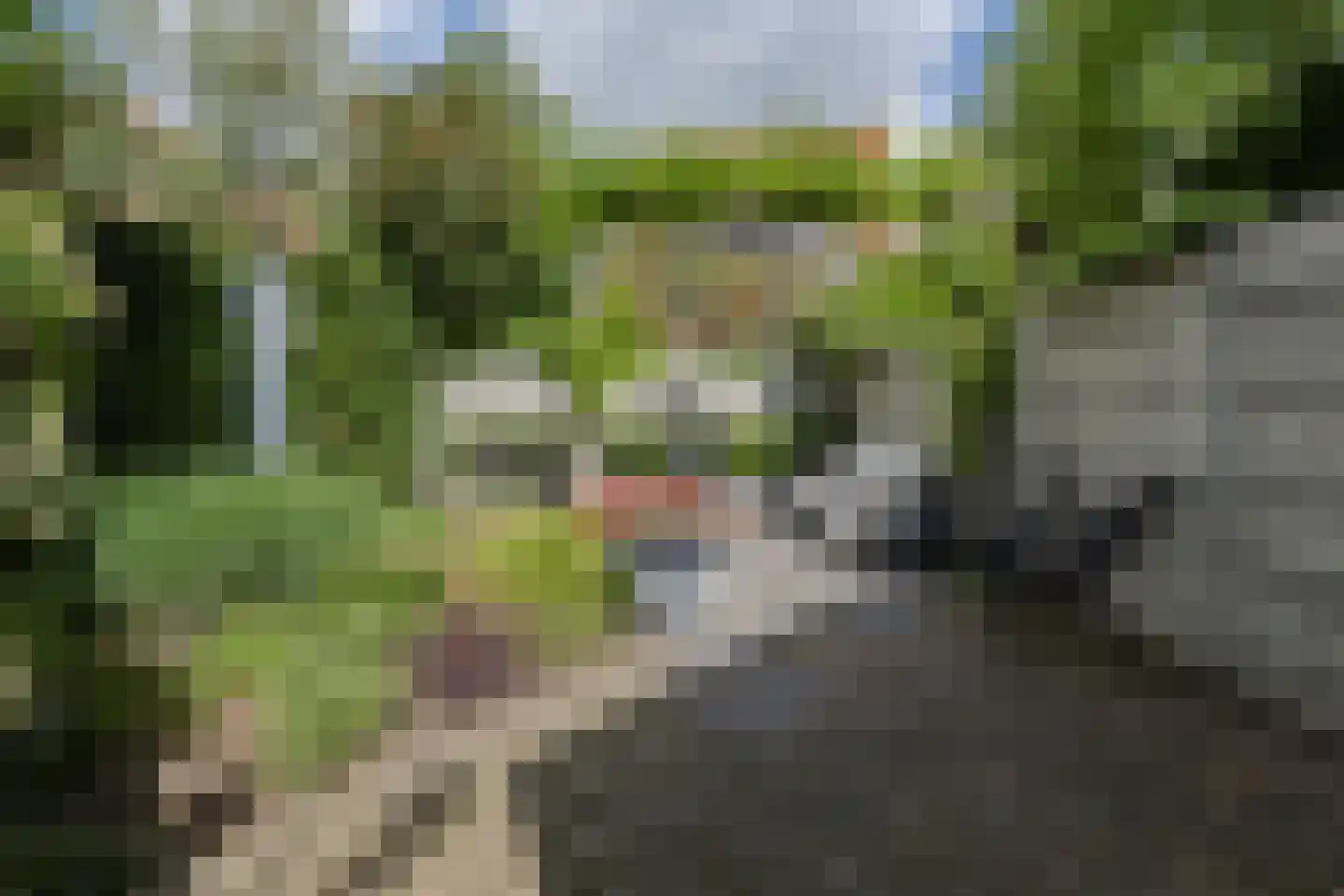 Spoorlaan 4 Bussum thumbnail 44