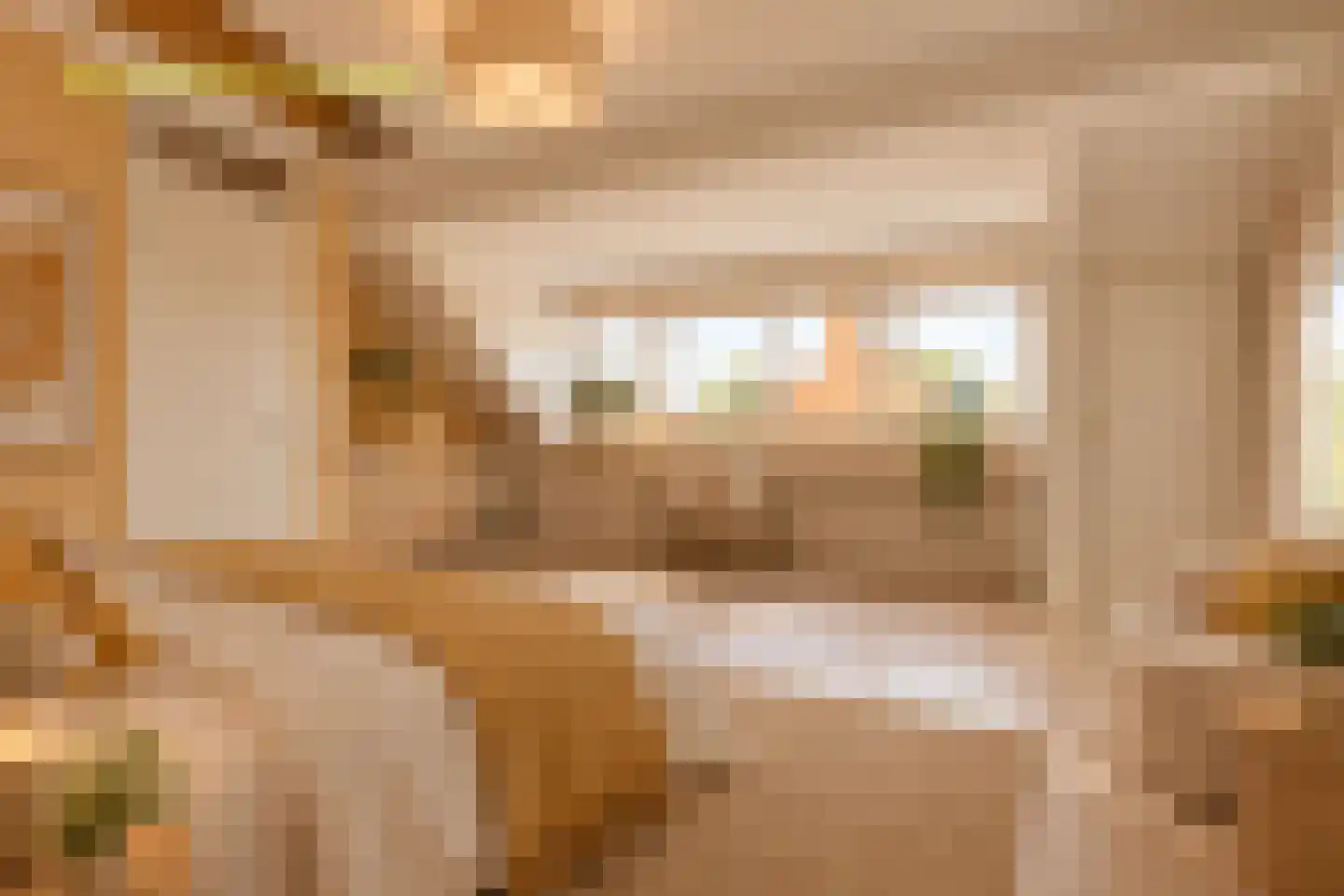 Spoorlaan 40 Leiden thumbnail 42