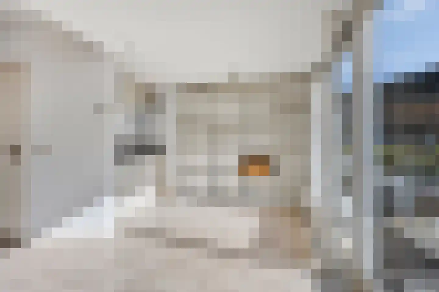 Spoorlaan 42 A Oisterwijk thumbnail 24