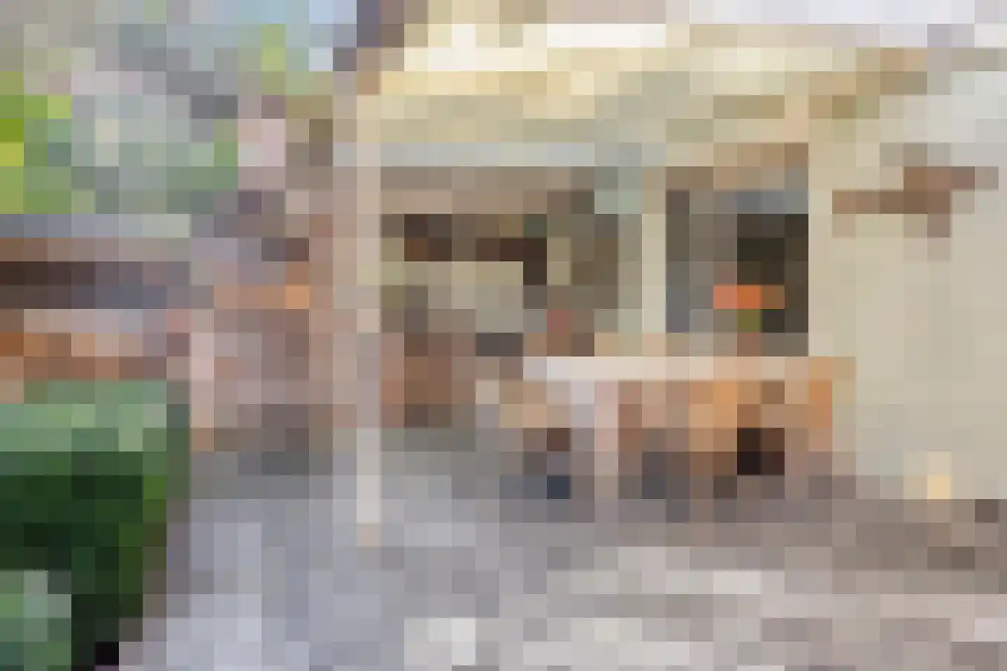 Spoorlaan 42 A Oisterwijk thumbnail 33