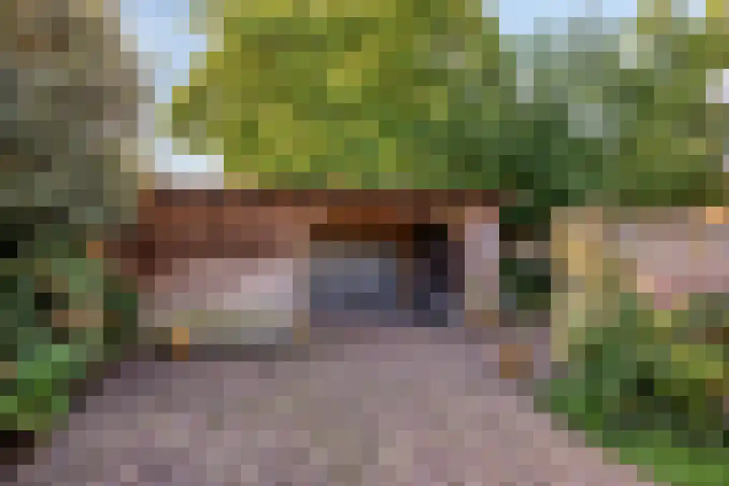 Spoorlaan 42 A Oisterwijk thumbnail 36