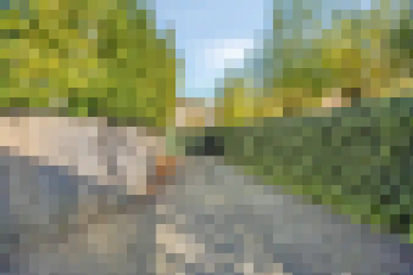 Spoorlaan 42 A Oisterwijk thumbnail 39
