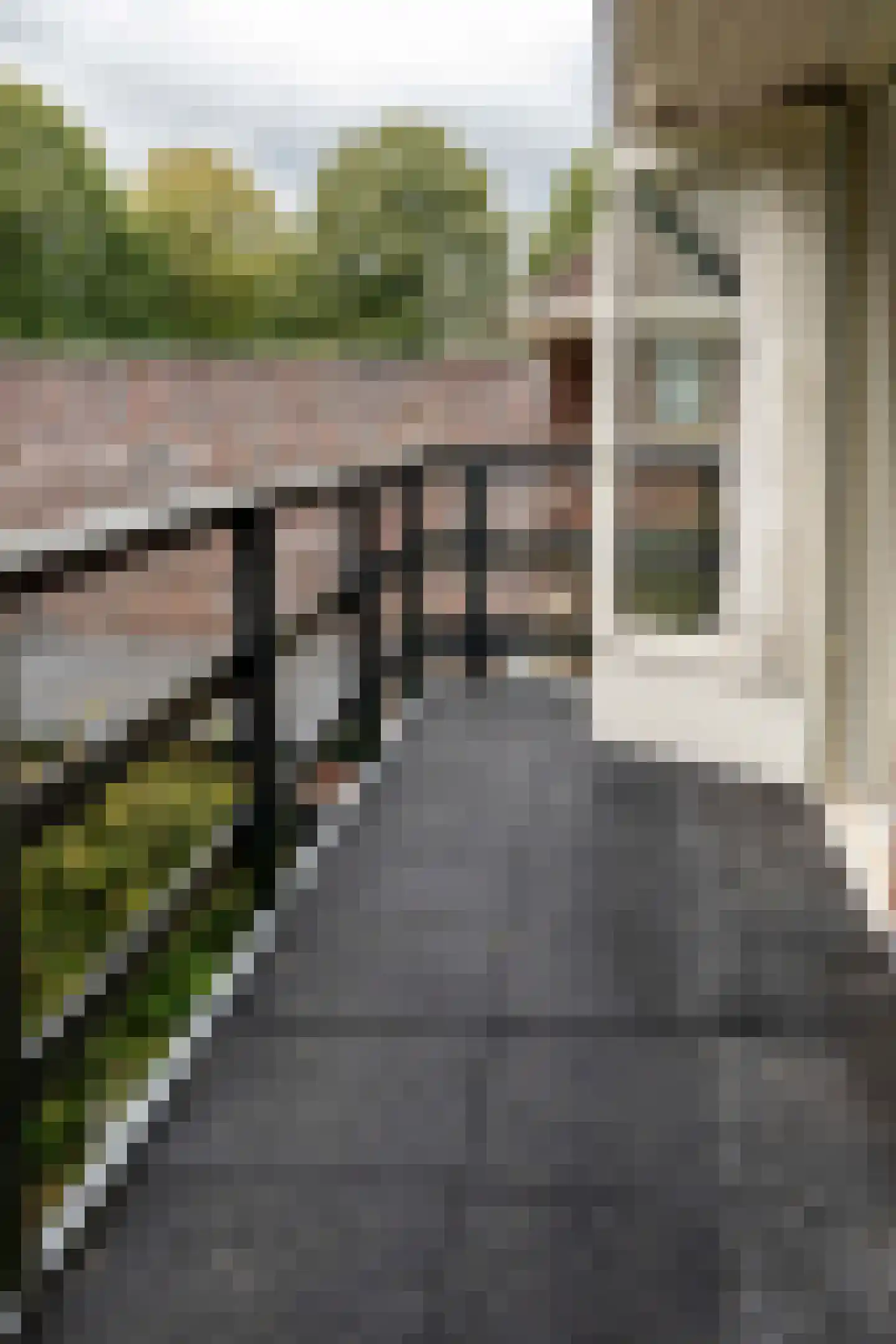 Spoorlaan 45 Hollandsche Rading thumbnail 32