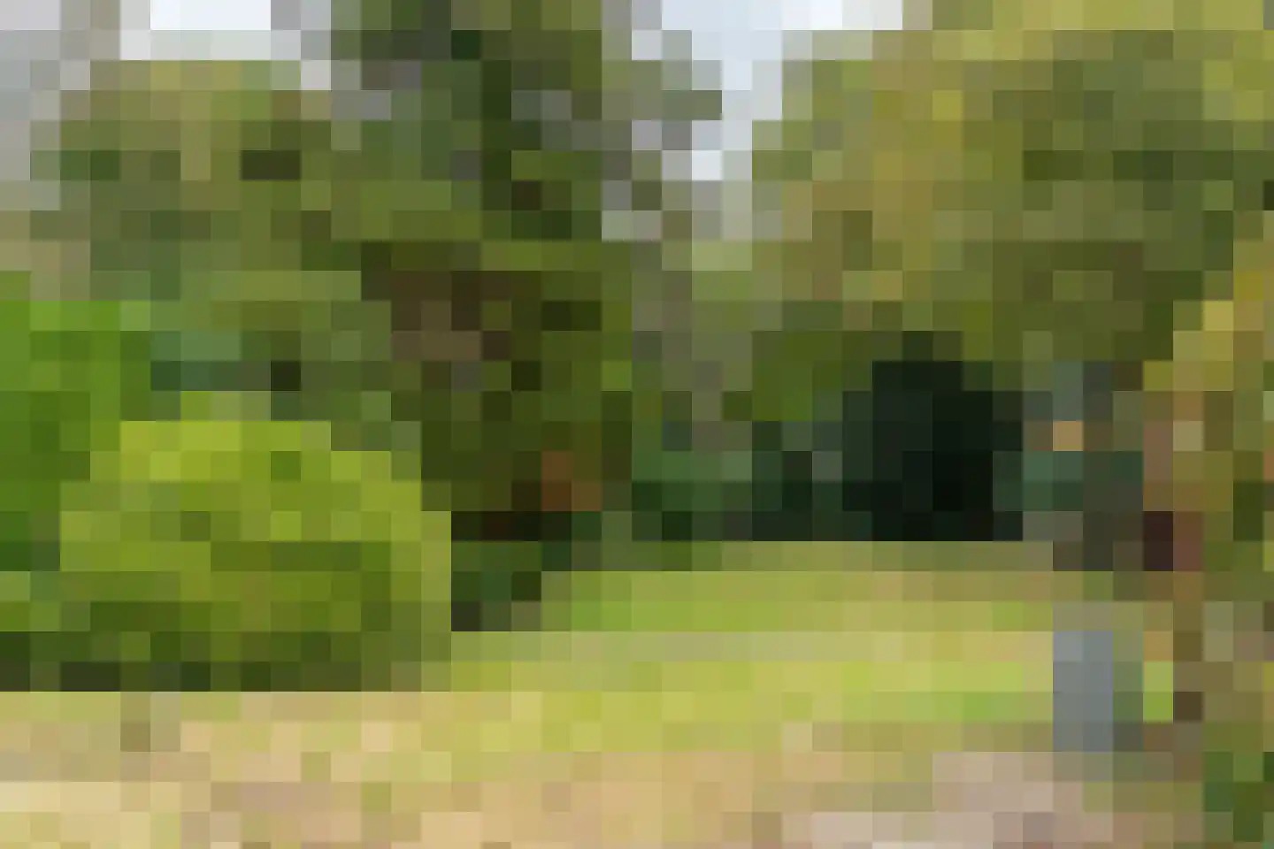Spoorlaan 45 Hollandsche Rading thumbnail 4