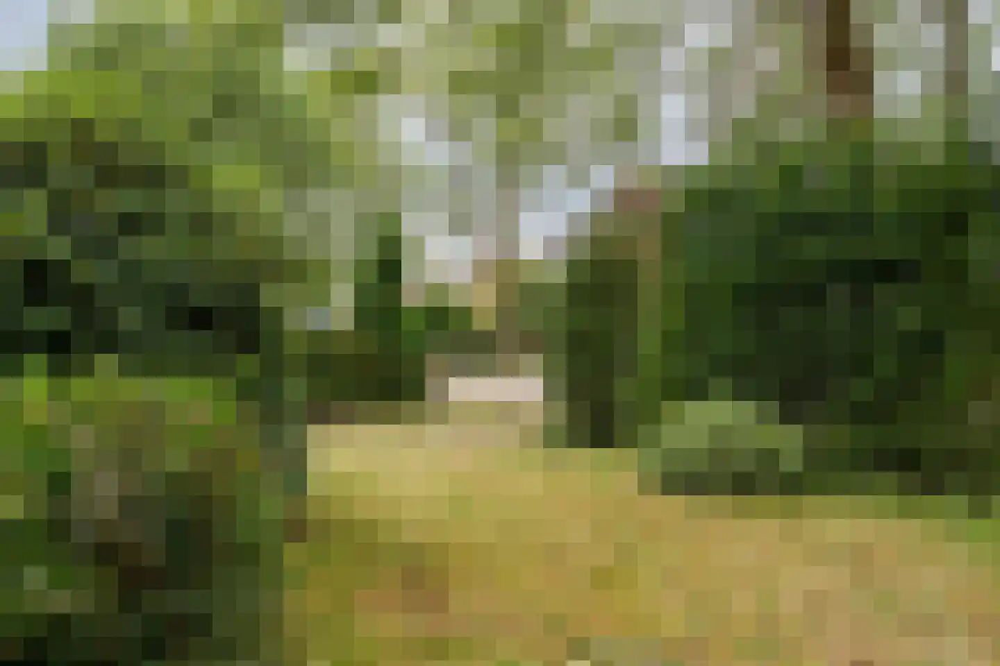 Spoorlaan 45 Hollandsche Rading thumbnail 47
