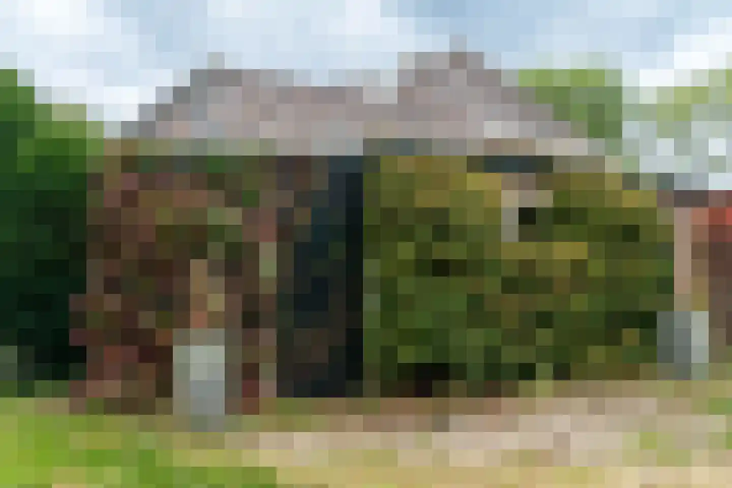 Spoorlaan 45 Hollandsche Rading thumbnail 6