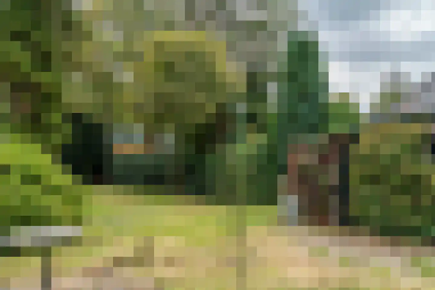 Spoorlaan 45 Hollandsche Rading thumbnail 7