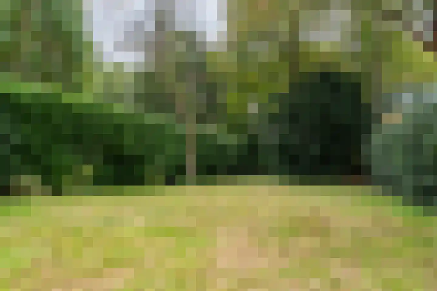 Spoorlaan 45 Hollandsche Rading thumbnail 8