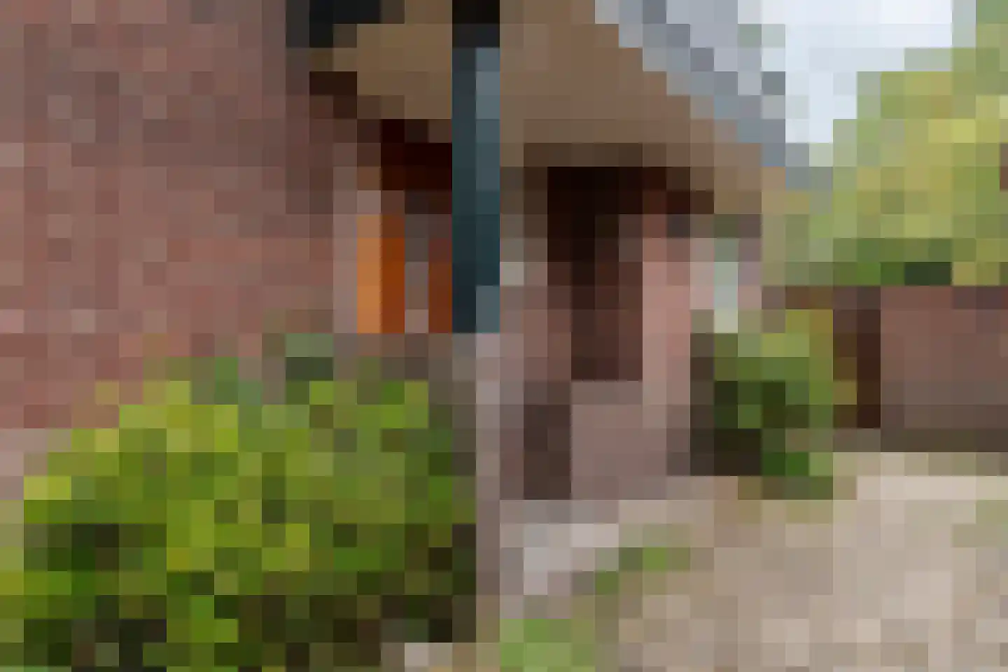 Spoorlaan 45 Hollandsche Rading thumbnail 9