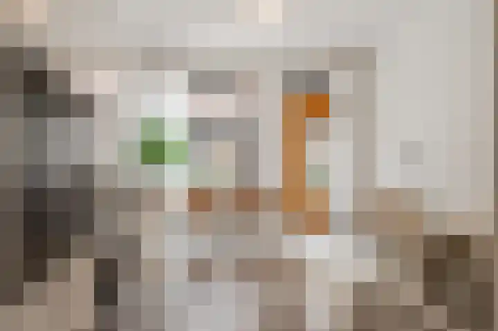 Spoorlaan 450 02 Tilburg thumbnail 10