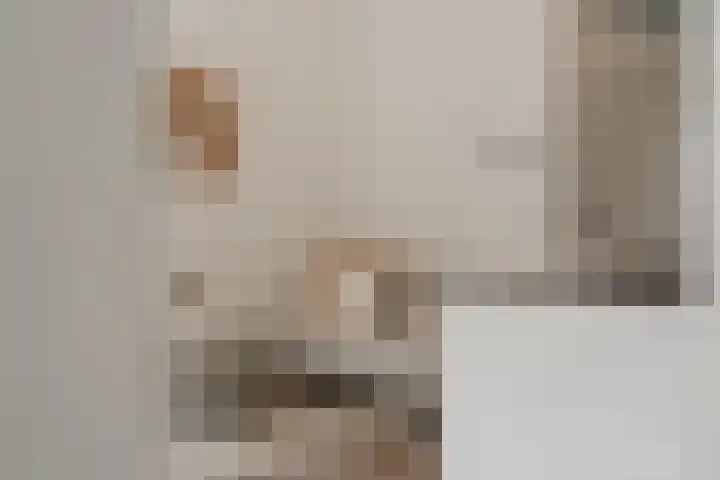 Spoorlaan 450 02 Tilburg thumbnail 15