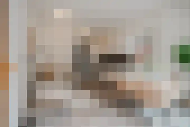 Spoorlaan 450 02 Tilburg thumbnail 8