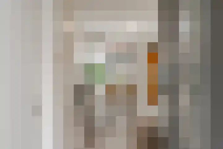 Spoorlaan 450 02 Tilburg thumbnail 9