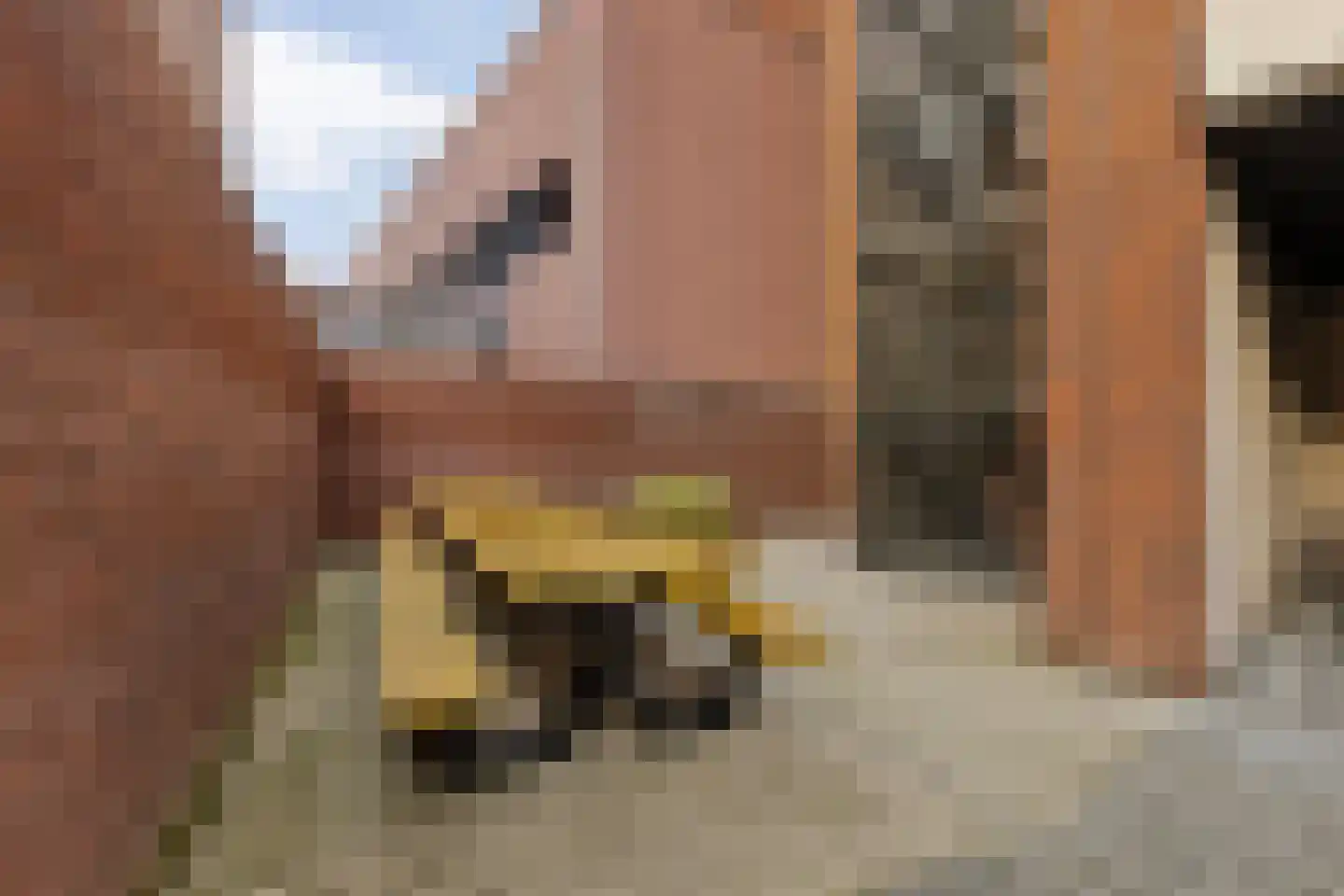 Spoorlaan 450 07 Tilburg thumbnail 26
