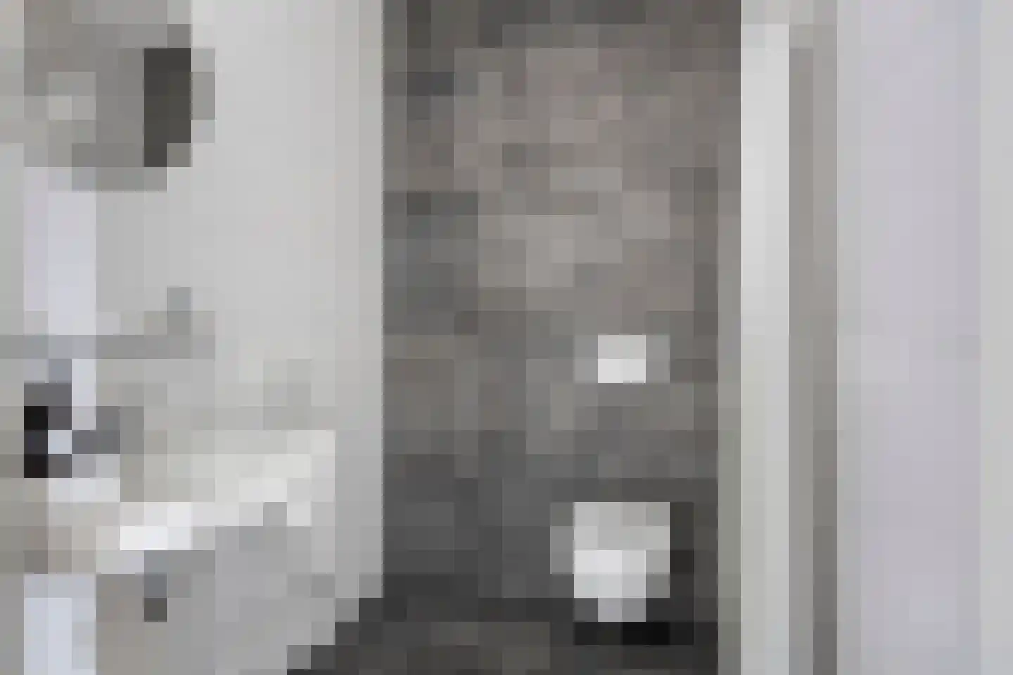 Spoorlaan 450 08 Tilburg thumbnail 17