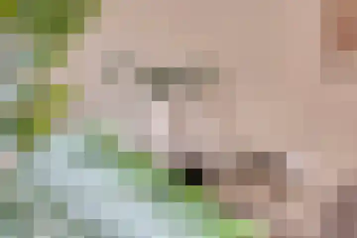 Spoorlaan 450 16 Tilburg thumbnail 12