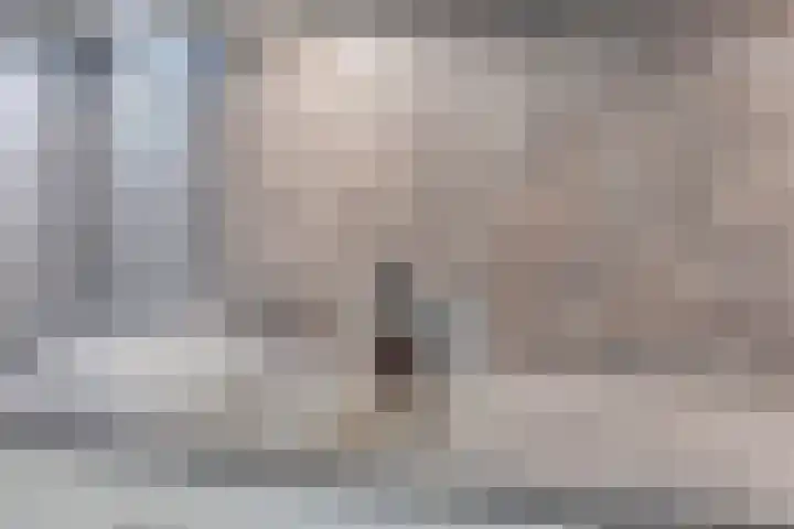 Spoorlaan 450 16 Tilburg thumbnail 17