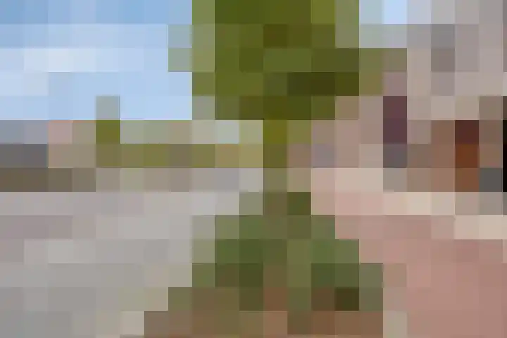 Spoorlaan 450 16 Tilburg thumbnail 21