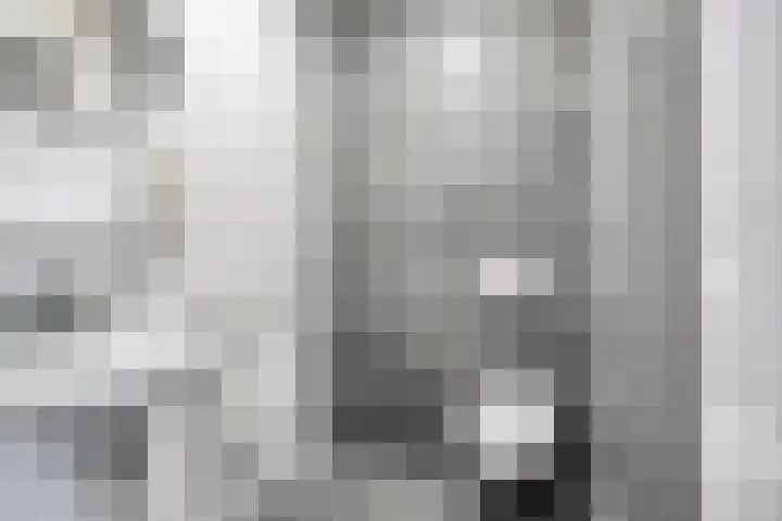 Spoorlaan 450 16 Tilburg thumbnail 5