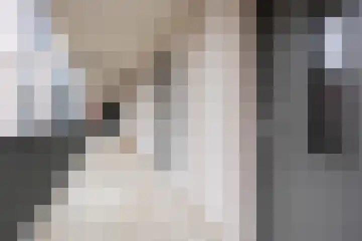 Spoorlaan 450 16 Tilburg thumbnail 7