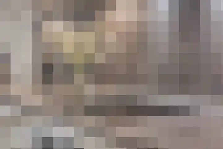 Spoorlaan 450 18 Tilburg thumbnail 17