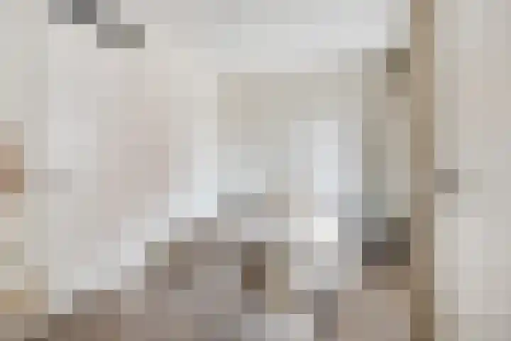 Spoorlaan 450 18 Tilburg thumbnail 18