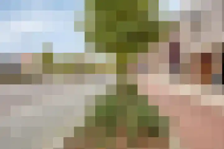 Spoorlaan 450 18 Tilburg thumbnail 24