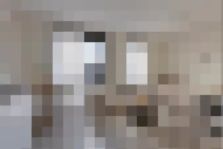 Spoorlaan 450 24 Tilburg thumbnail 10