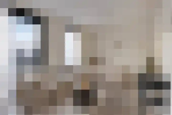 Spoorlaan 450 24 Tilburg thumbnail 11