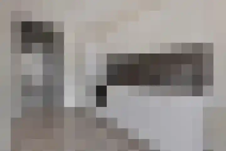 Spoorlaan 450 24 Tilburg thumbnail 19