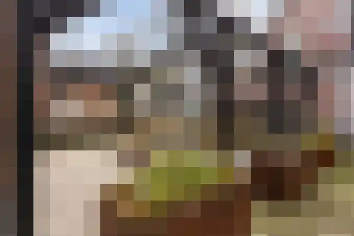 Spoorlaan 450 24 Tilburg thumbnail 32