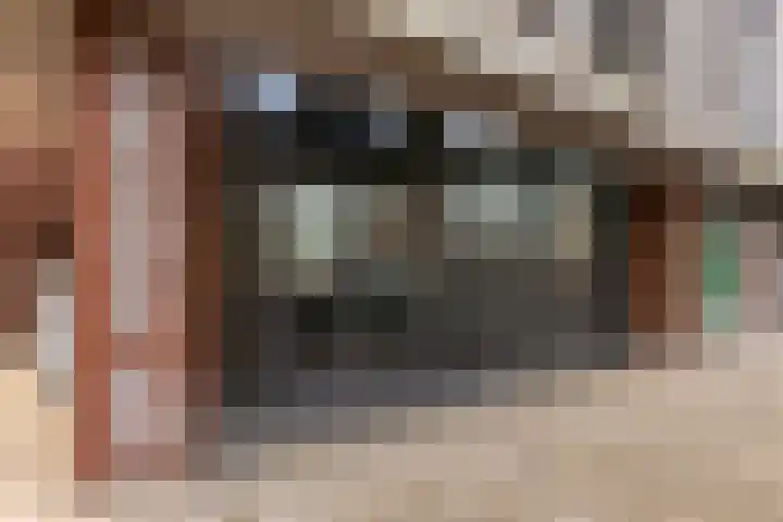 Spoorlaan 450 24 Tilburg thumbnail 7
