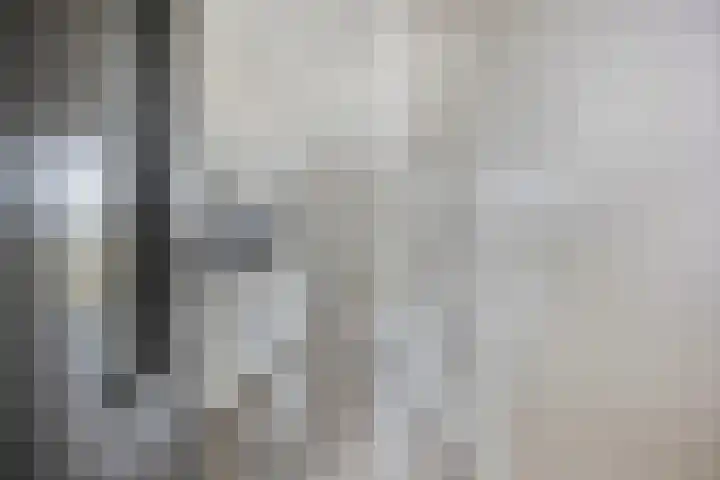 Spoorlaan 450 25 Tilburg thumbnail 10