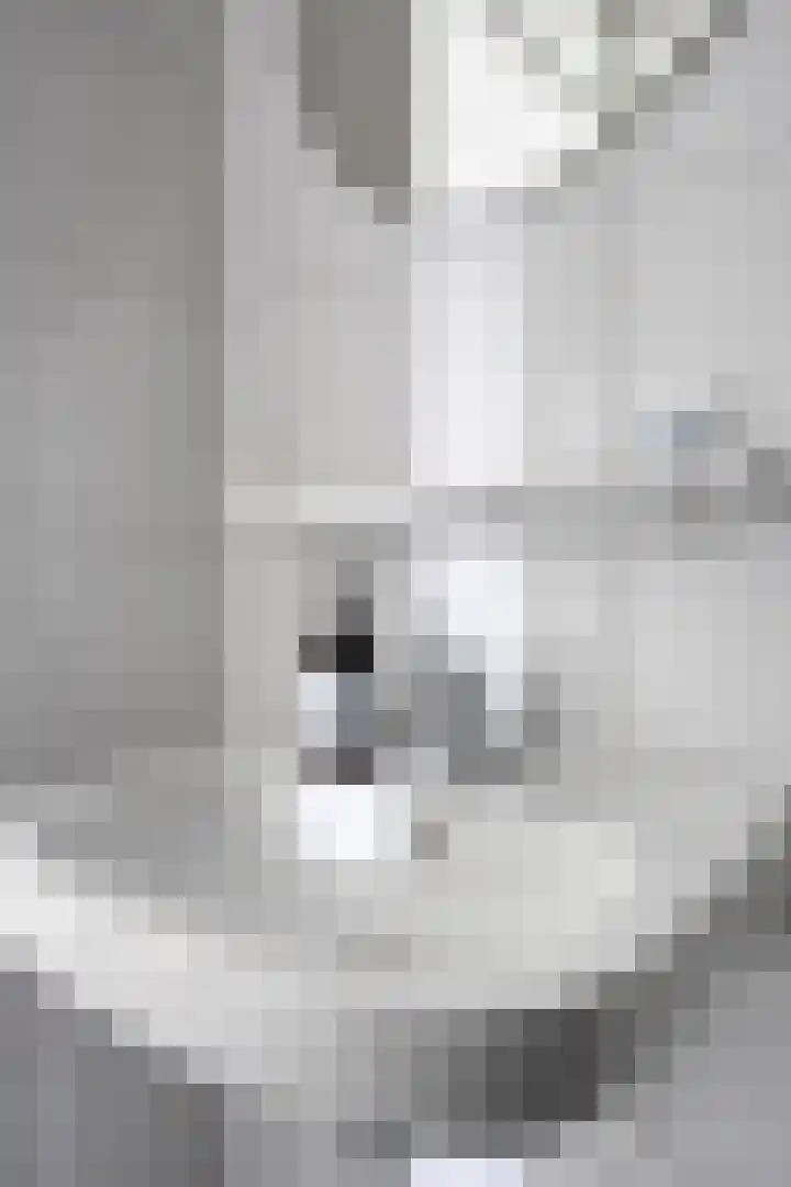 Spoorlaan 450 25 Tilburg thumbnail 17