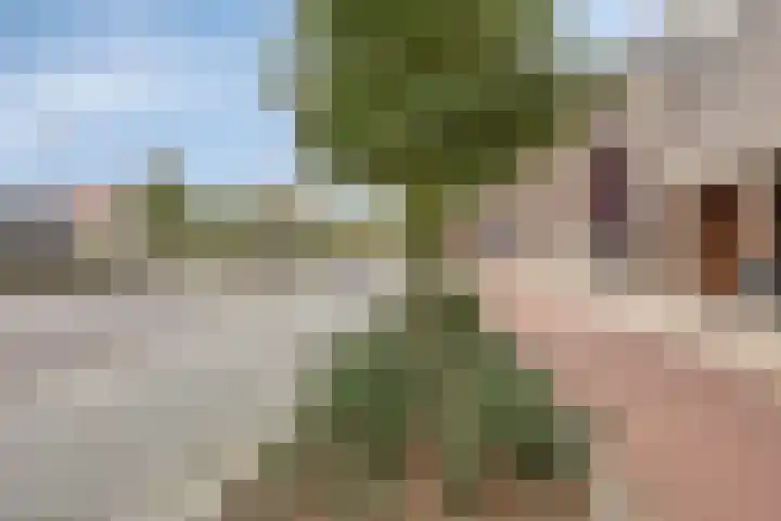 Spoorlaan 450 25 Tilburg thumbnail 21