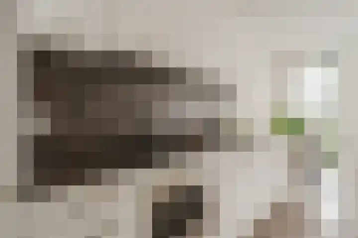 Spoorlaan 450 27 Tilburg thumbnail 10