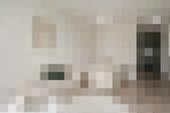Spoorlaan 450 27 Tilburg thumbnail 14