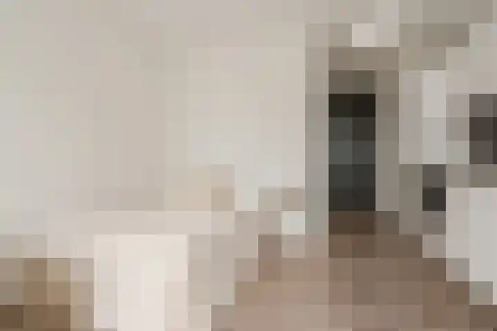 Spoorlaan 450 27 Tilburg thumbnail 15