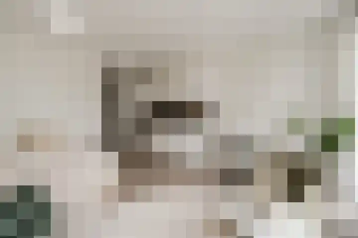 Spoorlaan 450 27 Tilburg thumbnail 18