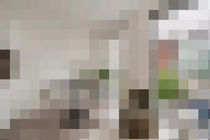 Spoorlaan 450 27 Tilburg thumbnail 19