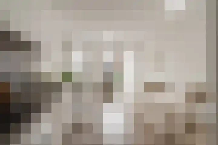 Spoorlaan 450 27 Tilburg thumbnail 26
