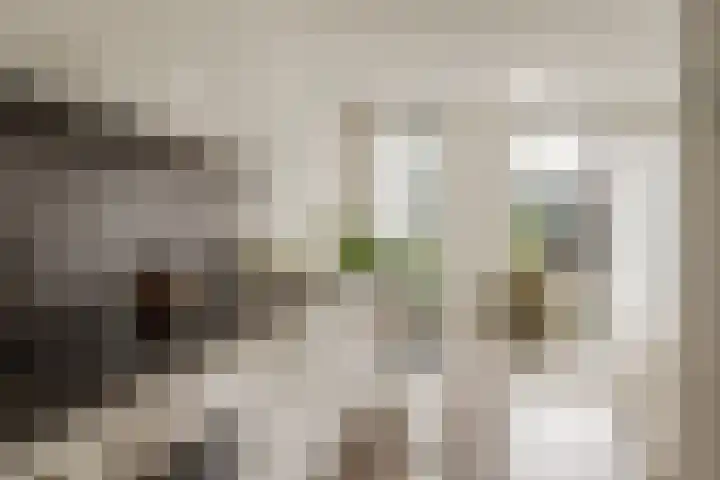 Spoorlaan 450 27 Tilburg thumbnail 9