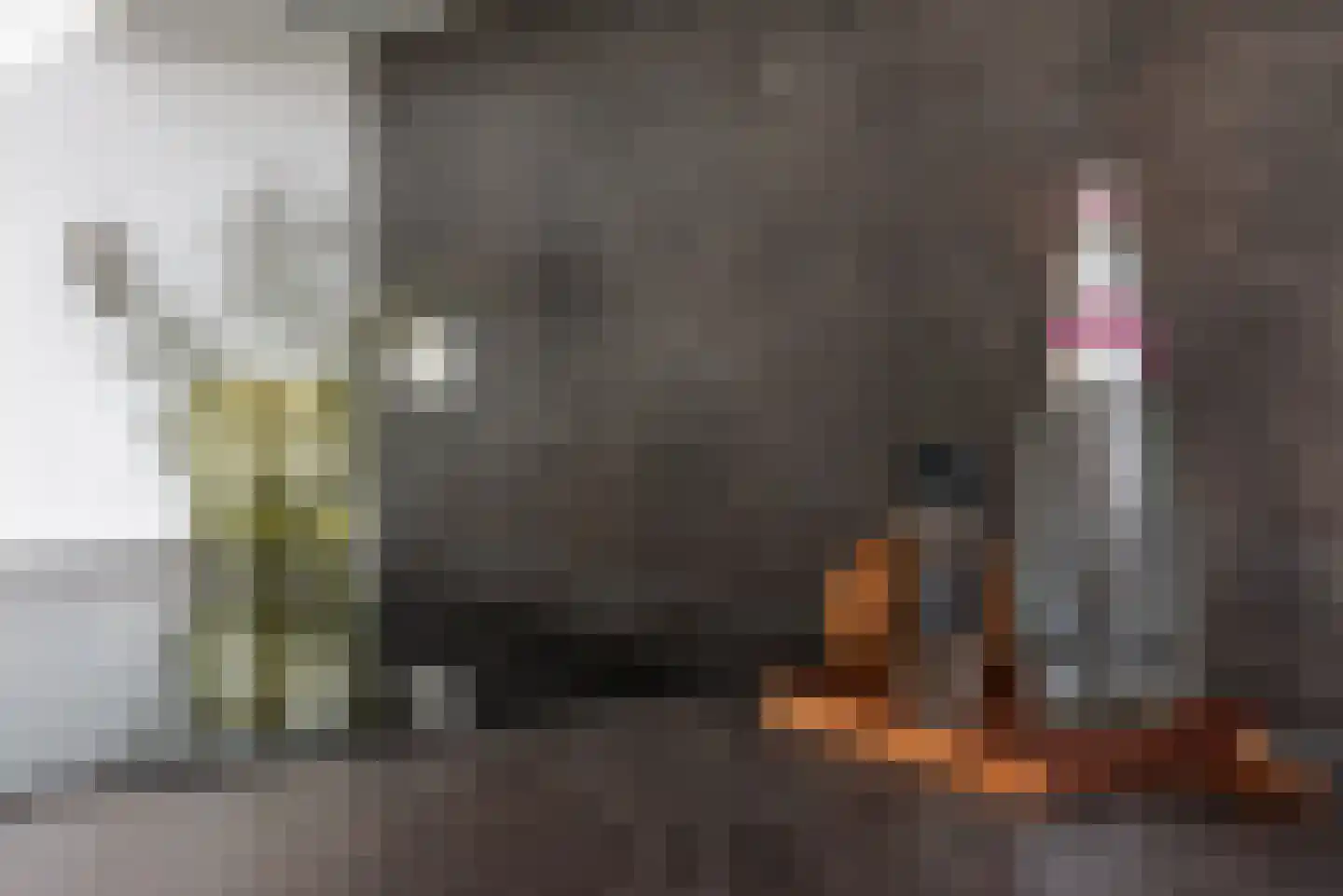 Spoorlaan 450 30 Tilburg thumbnail 26