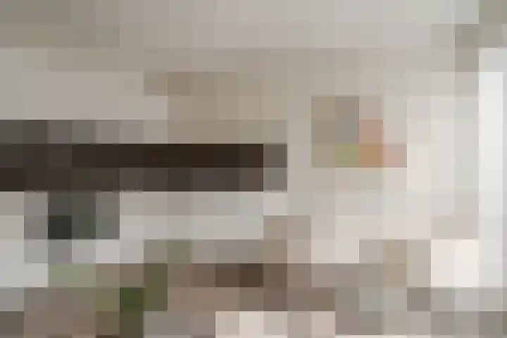 Spoorlaan 450 32 Tilburg thumbnail 17