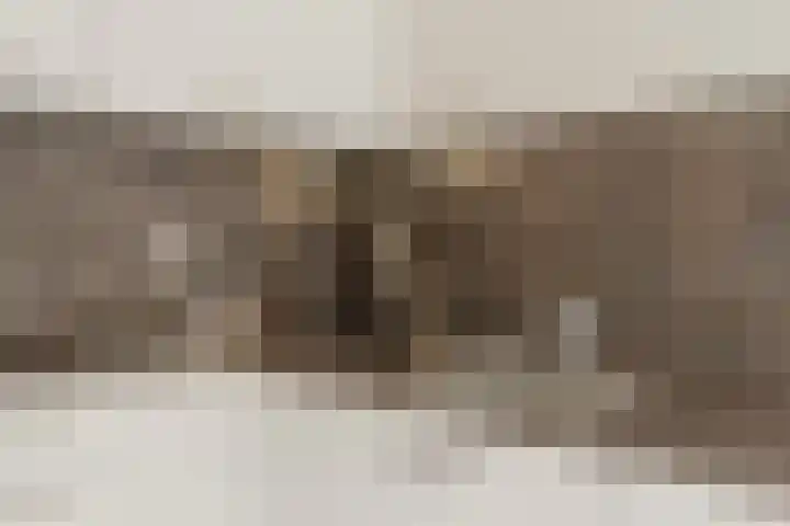 Spoorlaan 450 32 Tilburg thumbnail 21