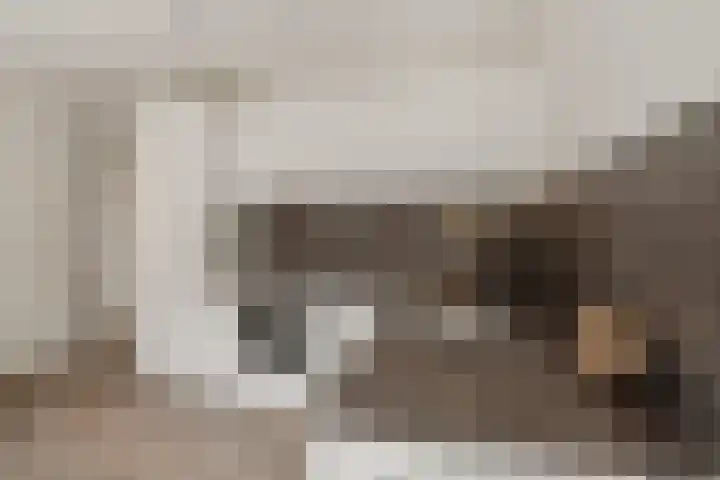 Spoorlaan 450 32 Tilburg thumbnail 22